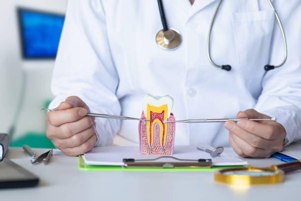 Best Broken or Chipped Tooth Repair in Cottage Lake, WA